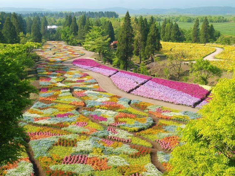 赤川温泉スパージュ-Spaju Taketa Extérieur photo